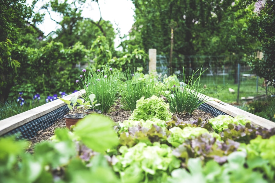 Potager et carrés de jardin aménagés en Alsace
